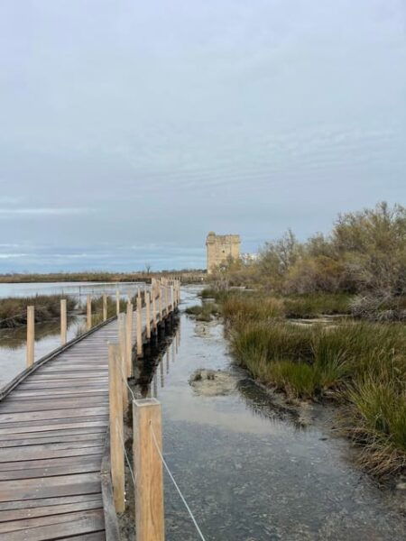 From Montpellier: Camargue and Salt Marshes Guided Tour - Inclusions and Exclusions