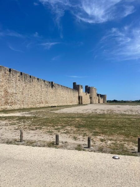 From Montpellier: Camargue and Salt Marshes Guided Tour - Customer Feedback and Ratings