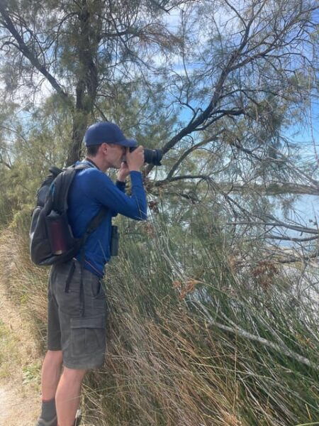From Montpellier: Camargue and Salt Marshes Guided Tour - Booking Information and Tips
