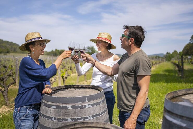 From Montpellier: Half-Day Vineyard & Pic Saint-Loup Tour - Tour Duration and Starting Point