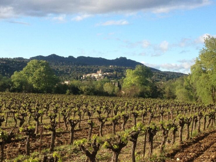 From Montpellier: Pic Saint-Loup Wine and Food Tour - Experience Highlights