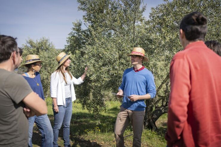 From Montpellier: Wine and Olive Tour - Tour Details