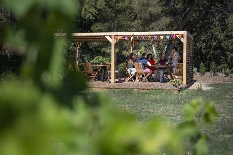 From Montpellier: Winery Tour in a Vintage Citroën 2CV - A Deep Dive into the Experience