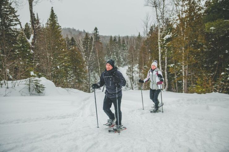 From Montreal: Lanaudière Region Hike With Snoweshoes - Activity Overview