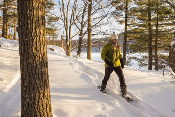 From Montreal: Mont-Saint-Bruno National Park Snowshoe Hike - Activity Details