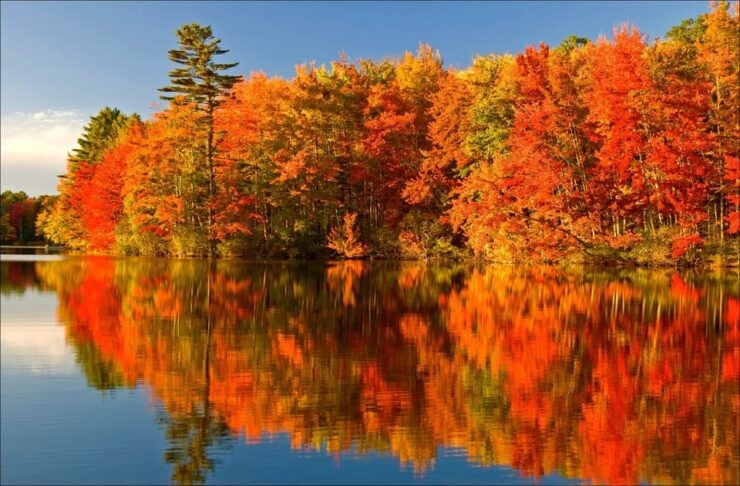 From Montreal: Mont-Tremblant 1-Day Tour - Good To Know