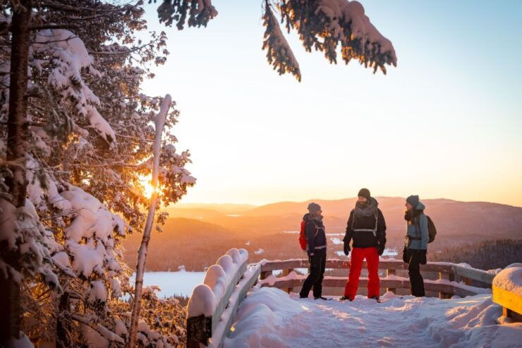 From Montreal: Mont-Tremblant National Park Hiking Day Trip - Experience Highlights at Mont-Tremblant National Park