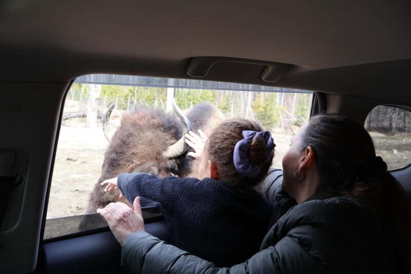 From Montreal: Omega Park Wildlife Safari Calling Sounds - An In-Depth Look at the Omega Park Wildlife Safari
