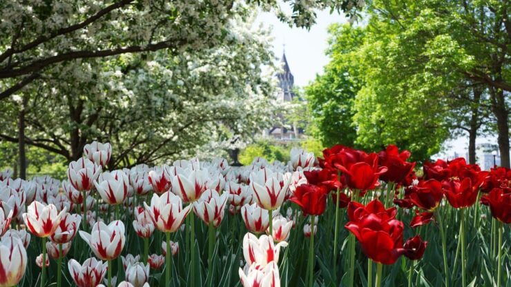 From Montreal: Private Ottawa Full Day Tour - Good To Know