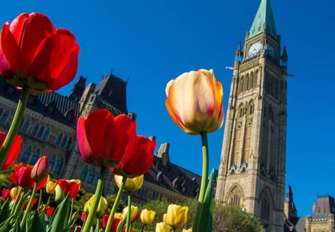 From Montreal: Private Ottawa Full Day Tour - Important Information