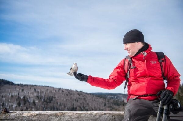 From Montreal: Sept-Chutes Regional Park Hike and Swim - Accessibility and Mobility
