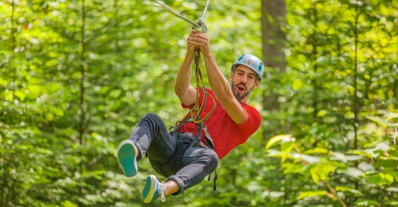 From Montreal: Treetop Trek, Ziplines + beach or waterfall. - Good To Know
