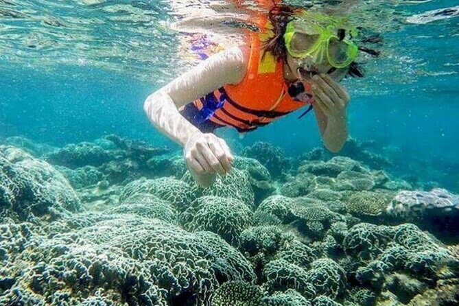 From Mui Ne to Vinh Hy Bay Snorkeling, Hidden Waterfall Adventure - What Travelers Can Expect from This Experience