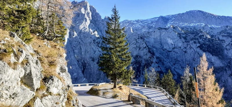 From Munich: Private Day Trip to the Berchtesgaden Alps - An Authentic Bavarian Adventure: What to Expect