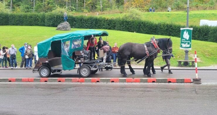 From Munich: Royal Fairytale Tour - Activity Details and Duration