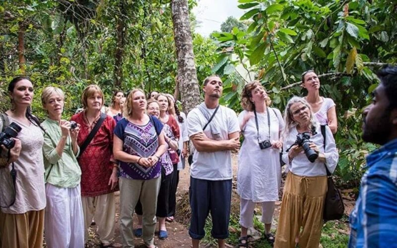 From Munnar: Tea Factory, Plantation, and National Park Tour - Good To Know