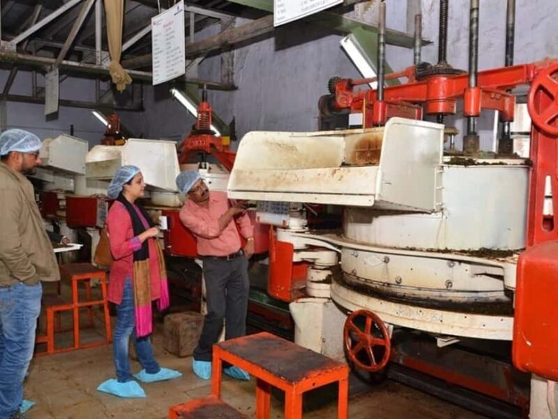 From Munnar: Tea Factory, Plantation, and National Park Tour - Good To Know