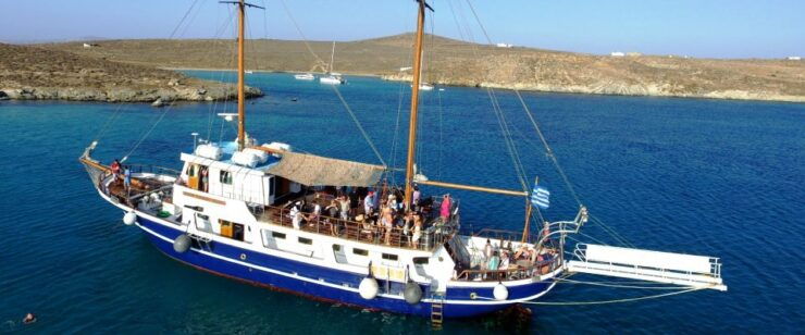 From Mykonos: Cruise to Delos and Rhenia With Lunch - Activity Details