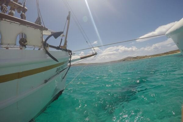 From Mykonos: Delos & Rhenia Islands Half-Day Trip by Boat - Meeting Point