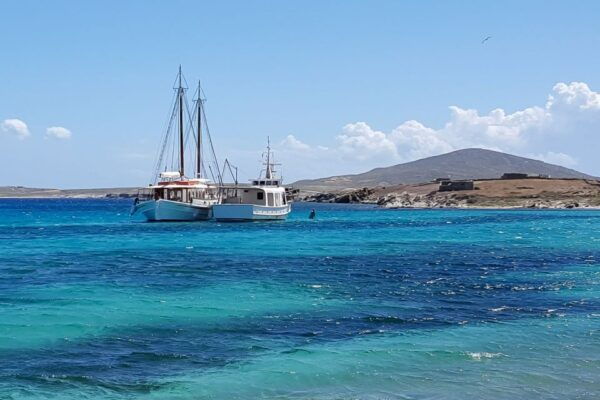 From Mykonos: Delos & Rhenia Islands Half-Day Trip by Boat - Important Information