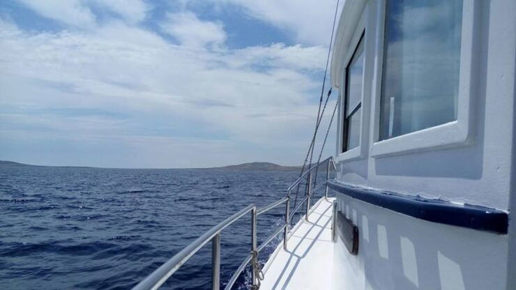 From Mykonos: Full-Day Ancient Delos & Rhenia Island Cruise - Cruise Experience