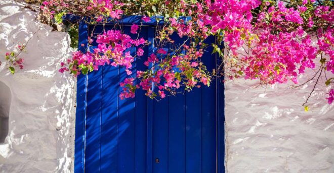 From Mykonos Town: Guided Sightseeing Tour With Windmills - Activity Description