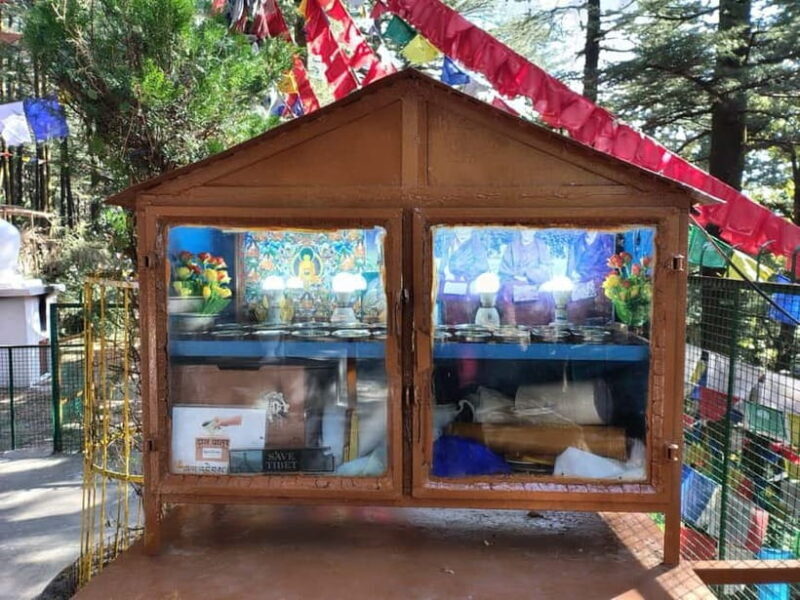 From Naddi: Guided Himalayan Nomad Culture & Nature Walk - Introduction: What You Can Expect from this Himalayan Nomad Culture & Nature Walk