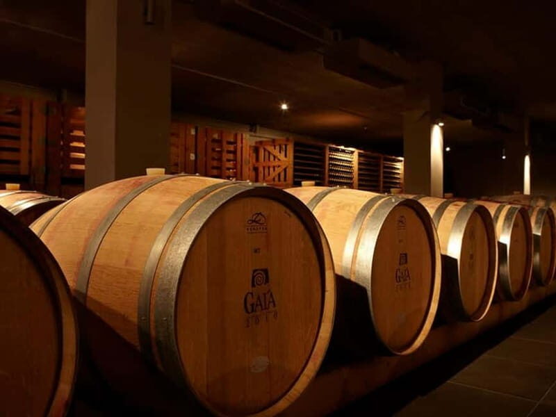 From Nafplio: Nemea, Wine Tasting Tour with Local Flavours - Authentic Experience and What You’ll Take Away