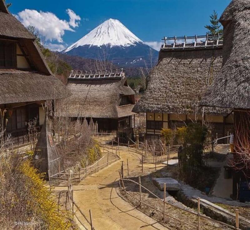 From Nagano: Mount Fuji Private Full-Day Customized Tour - From Nagano: Mount Fuji Private Full-Day Customized Tour – An In-Depth Review