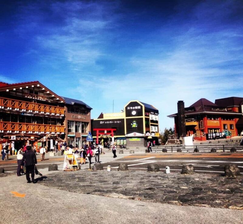 From Nagano: Mount Fuji Private Full-Day Customized Tour - Who Will Benefit Most?