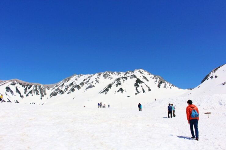 From Nagano: Tateyama-Kurobe Alpine Route - Highlights of the Tateyama-Kurobe Alpine Route