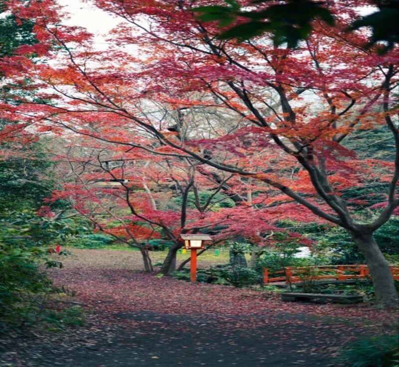 From Nagano: Tokyo Private Tour with Hotel Pickup - Transport, Timing, and Practical Tips