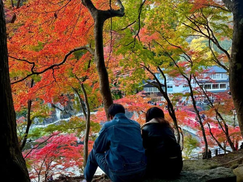 From Nagoya: Discover Aichi  Korankei, Miso, & Inari Shrine - The Journey Begins at Nagoya Station