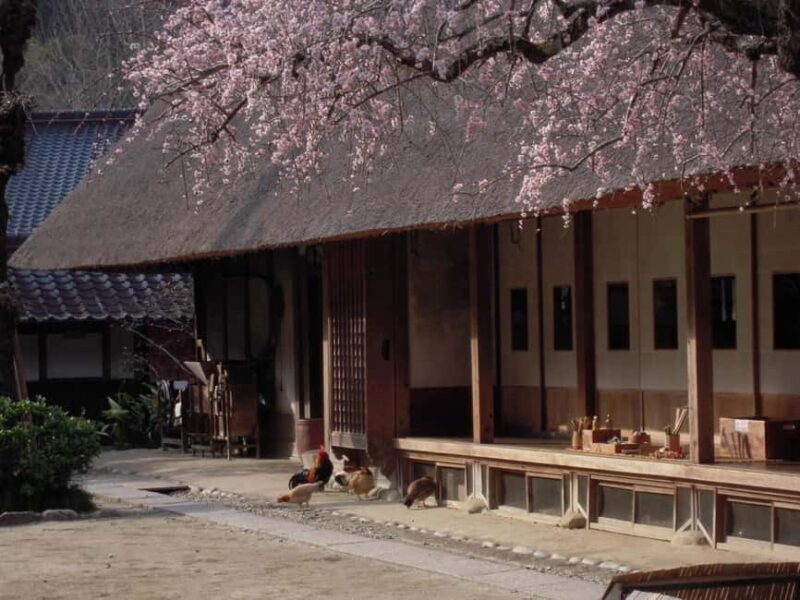 From Nagoya: Discover Aichi  Korankei, Miso, & Inari Shrine - Overall Value and Practical Insights