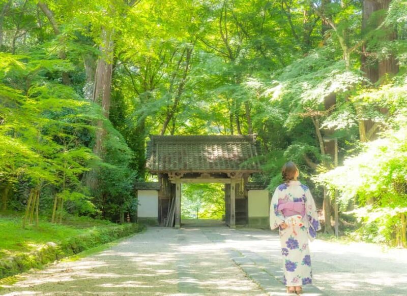 From Nagoya: Discover Aichi  Korankei, Miso, & Inari Shrine - Who Will Love This Tour?