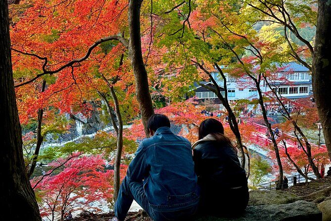 From Nagoya: Discover Aichi Korankei, Miso, & Inari Shrine - An In-Depth Look at the Tour