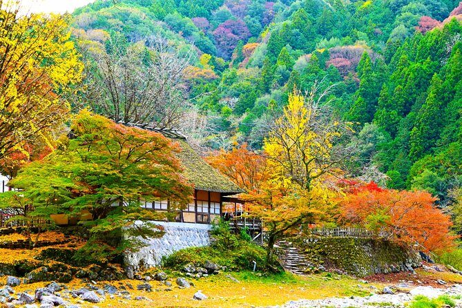 From Nagoya: Discover Aichi  Korankei, Miso, & Inari Shrine - Final Thoughts