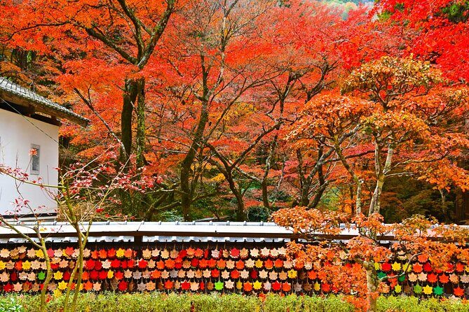 From Nagoya: Discover Aichi  Korankei, Miso, & Inari Shrine - FAQ