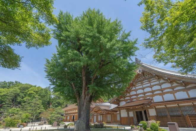 From Nagoya: Enakyo, Magome-juku & Tsumago-juku 1D Bus Tour - What to Bring