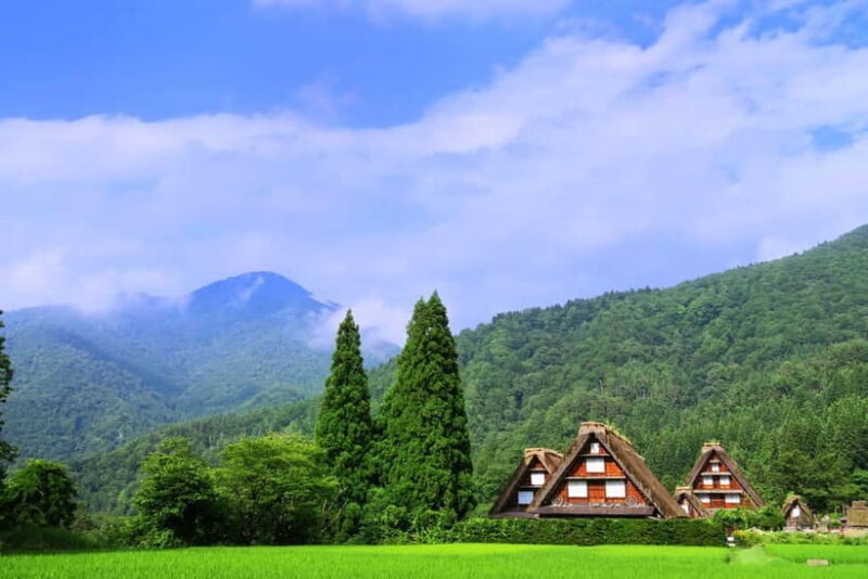 From Nagoya: Gujo, Hida Takayama, and Shirakawa-go Day Tour - Who Should Consider This Tour?