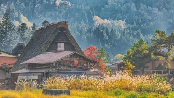 From Nagoya: Hida Takayama and Shirakawa-go UNESCO Day Trip - Tips for Travelers