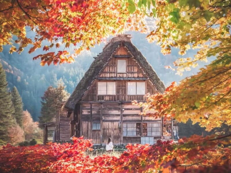 From Nagoya: Hida Takayama and Shirakawa-go Winter Day Tour - Practical Details: What’s Included and What’s Not