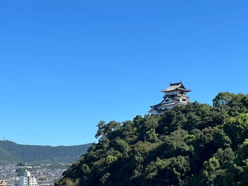 From Nagoya: Inuyama Castle, Ena Gorge, Magome, Tsumago Tour - Practical Aspects and Value