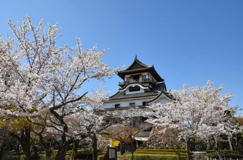 From Nagoya: Inuyama Day Trip - A Closer Look at the Nagoya to Inuyama Experience