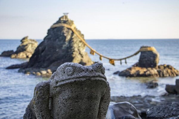 From Nagoya: Ise's Sacred Shrines and Captivating Coastlines - Meeting Point and Tips