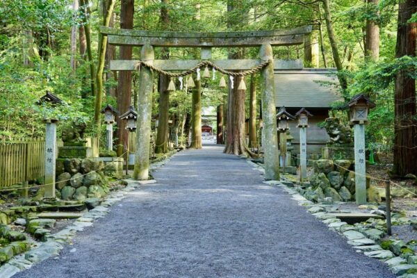 From Nagoya: Ise's Sacred Shrines and Captivating Coastlines - Customer Experiences and Feedback