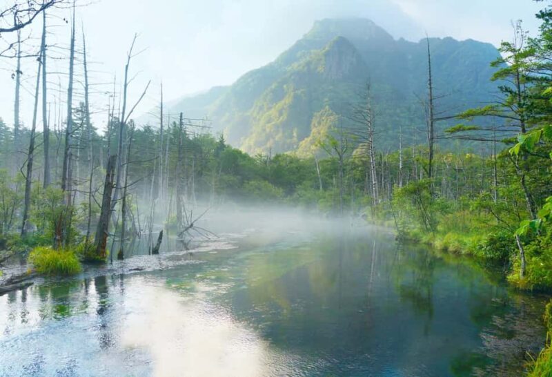 From Nagoya: Kamikochi Guided Hike in the Japanese Alps - A Deep Dive into the Itinerary