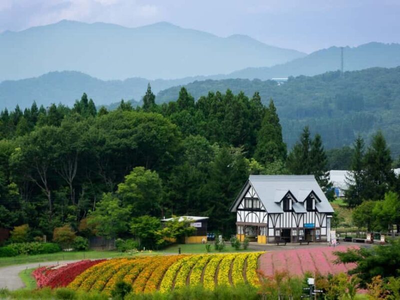 From Nagoya: Kamikochi Guided Hike in the Japanese Alps - Final Thoughts