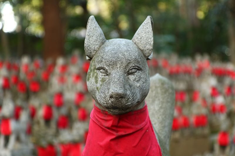 From Nagoya: Korankei Gorge &Toyokawa Inari - Toyokawa Inari and its fox-filled grounds