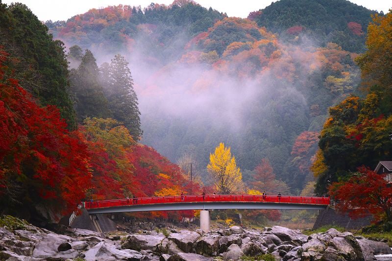 From Nagoya: Korankei Gorge &Toyokawa Inari - Korankei Gorge, with time for maples and village crafts
